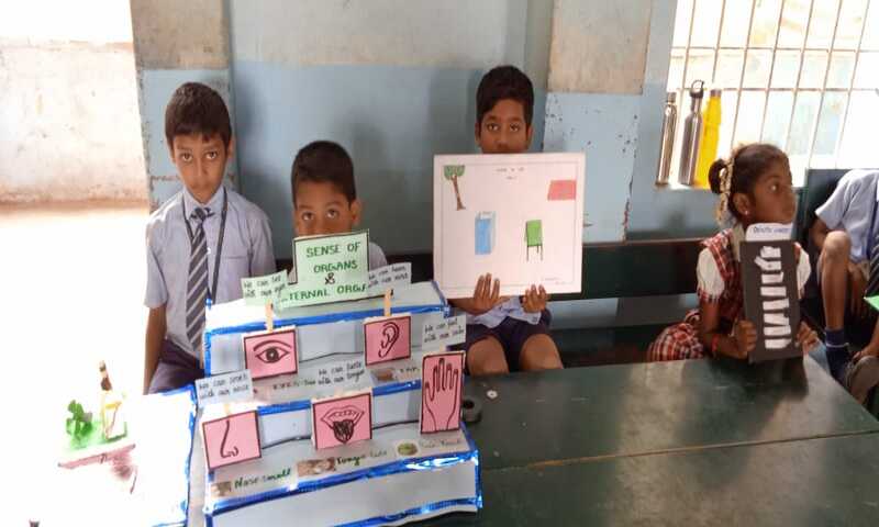 Science Expo 11